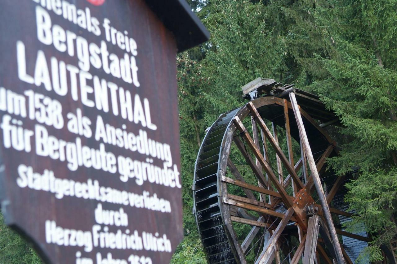 Ferienwohnung Harzblick Lautenthal Eksteriør billede