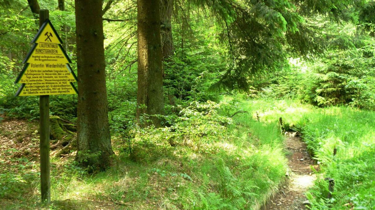 Ferienwohnung Harzblick Lautenthal Eksteriør billede